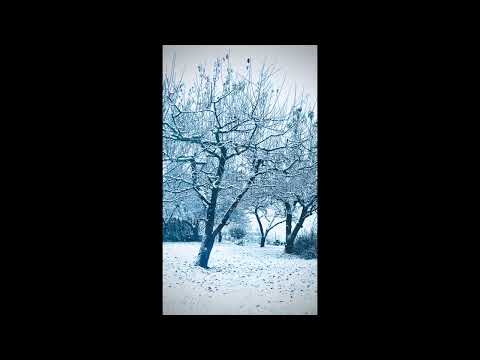 YouTube-Video-Thumbnail