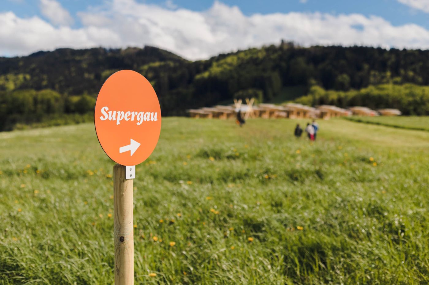 Bild Supergau Festival