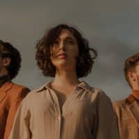 Bild Birds of Unknown