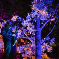 Bild Blockheide Leuchtet 2020