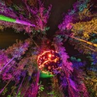 Bild Blockheide leuchtet 2020