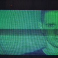 Bild Collapsing New People