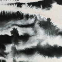 Cover Artwork Pilgrim`s Dream