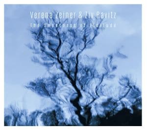 Cover "The sweetness of finitude"