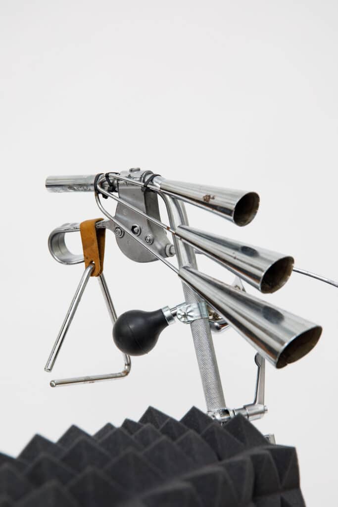 Design: Ruth Mateus-Berr & Pia Scharler