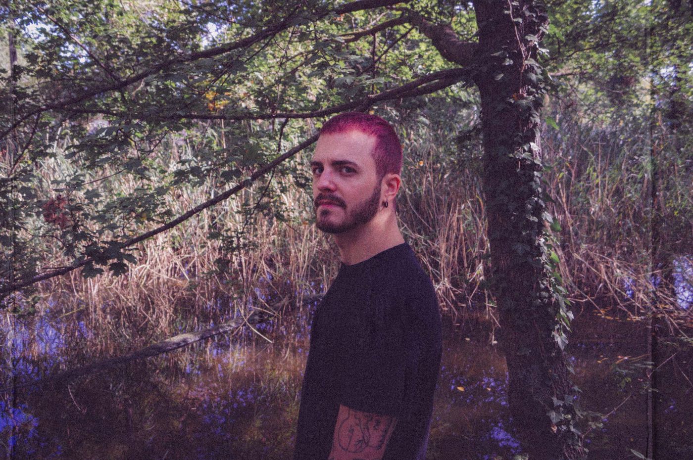 Bild Dreamer Dreamer