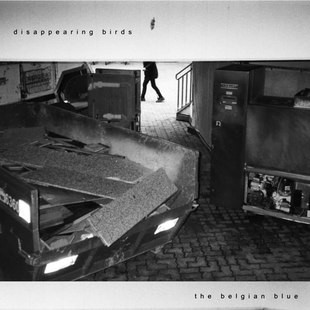 EP Cover "Disappearing Birds"