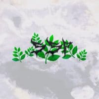 Graphic by Christopher Izsák