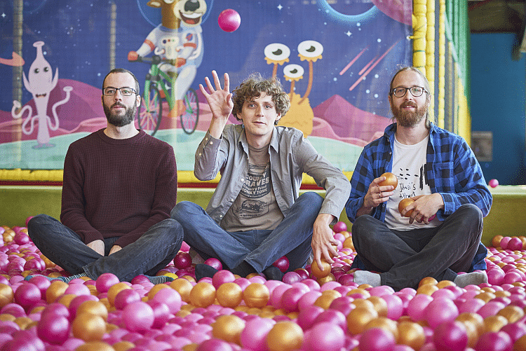 Hidden By The Grapes (c) Clemens Franke