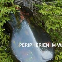 Kärntner Kulturstiftung: Peripherien im Wandel