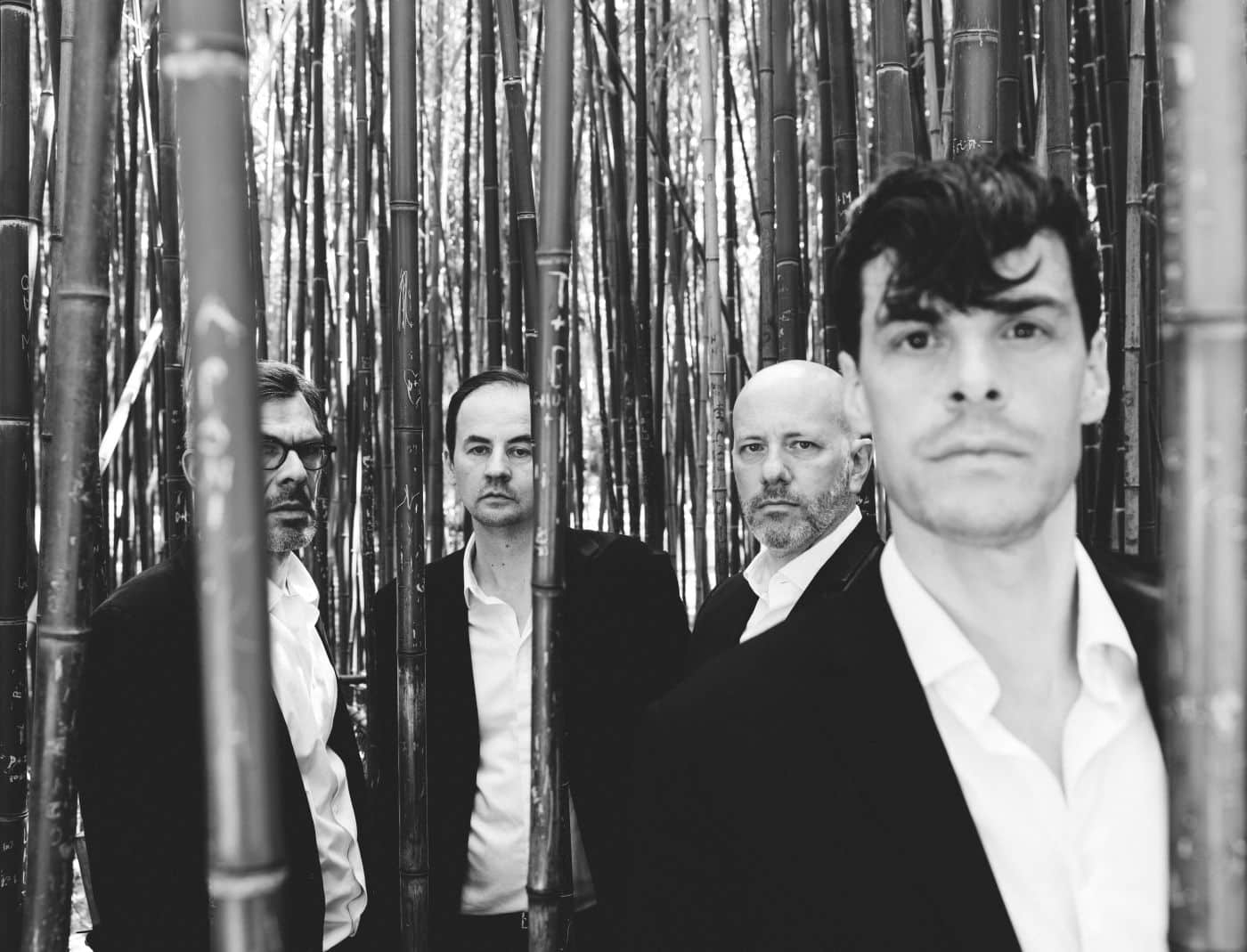 Bild der Band Kreisky