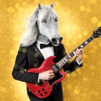 Bild Lippizaner mit Gitarre