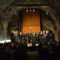 Bild (c) Robert Herbst/www.pov.at