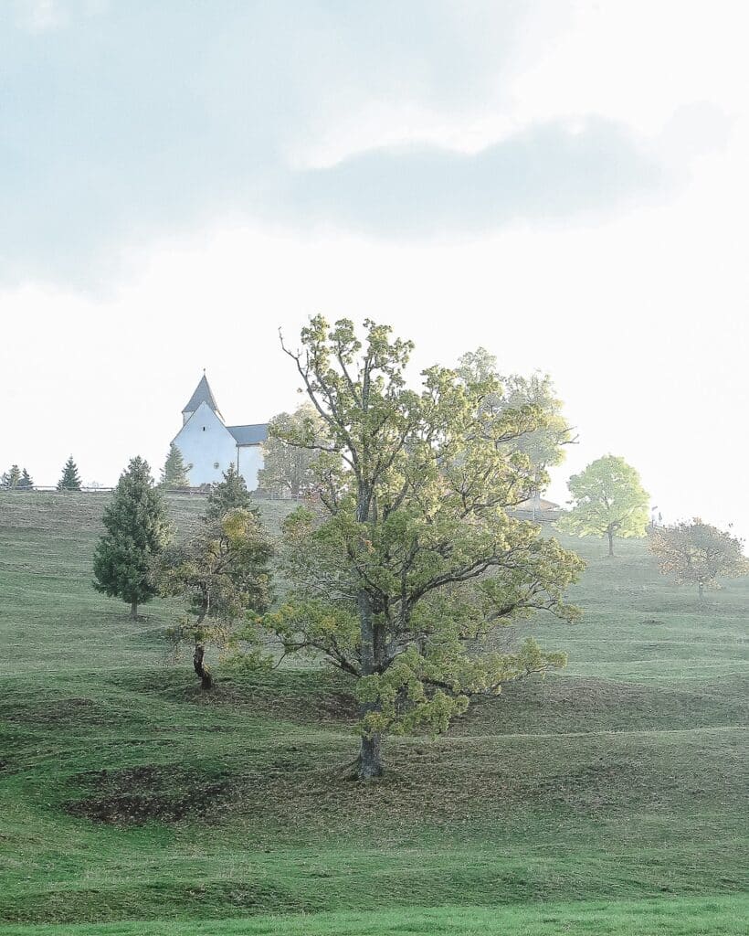 Magdalensberg