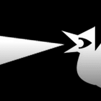 MYward Musikvideowettbewerb