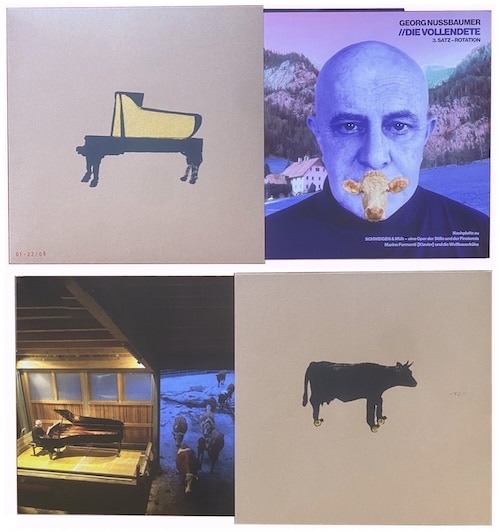 Georg Nussbaumer: Die Vollendete (Cover)