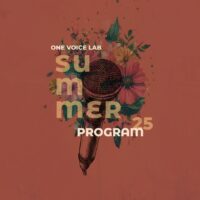 Grafik One Voice Lab