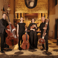 Bild des Ensembles Saraswati