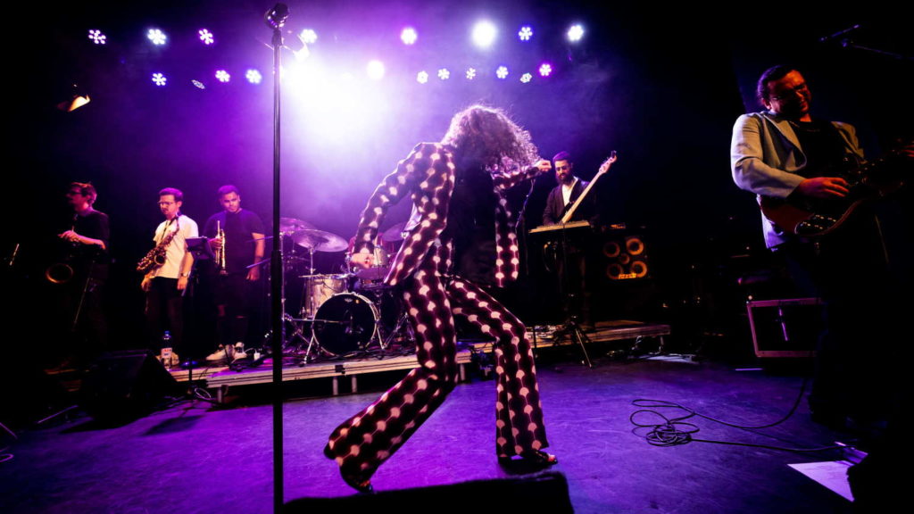 Bild Spitting Ibex Live