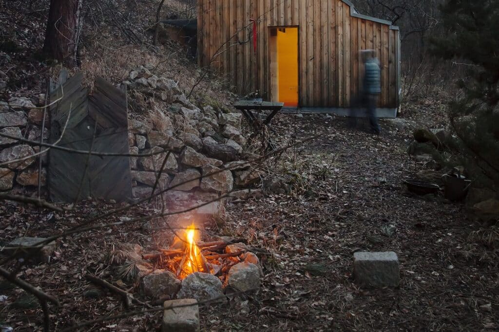 Bild Stille führt im Wald