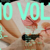 Sujet 10 Volt Festival