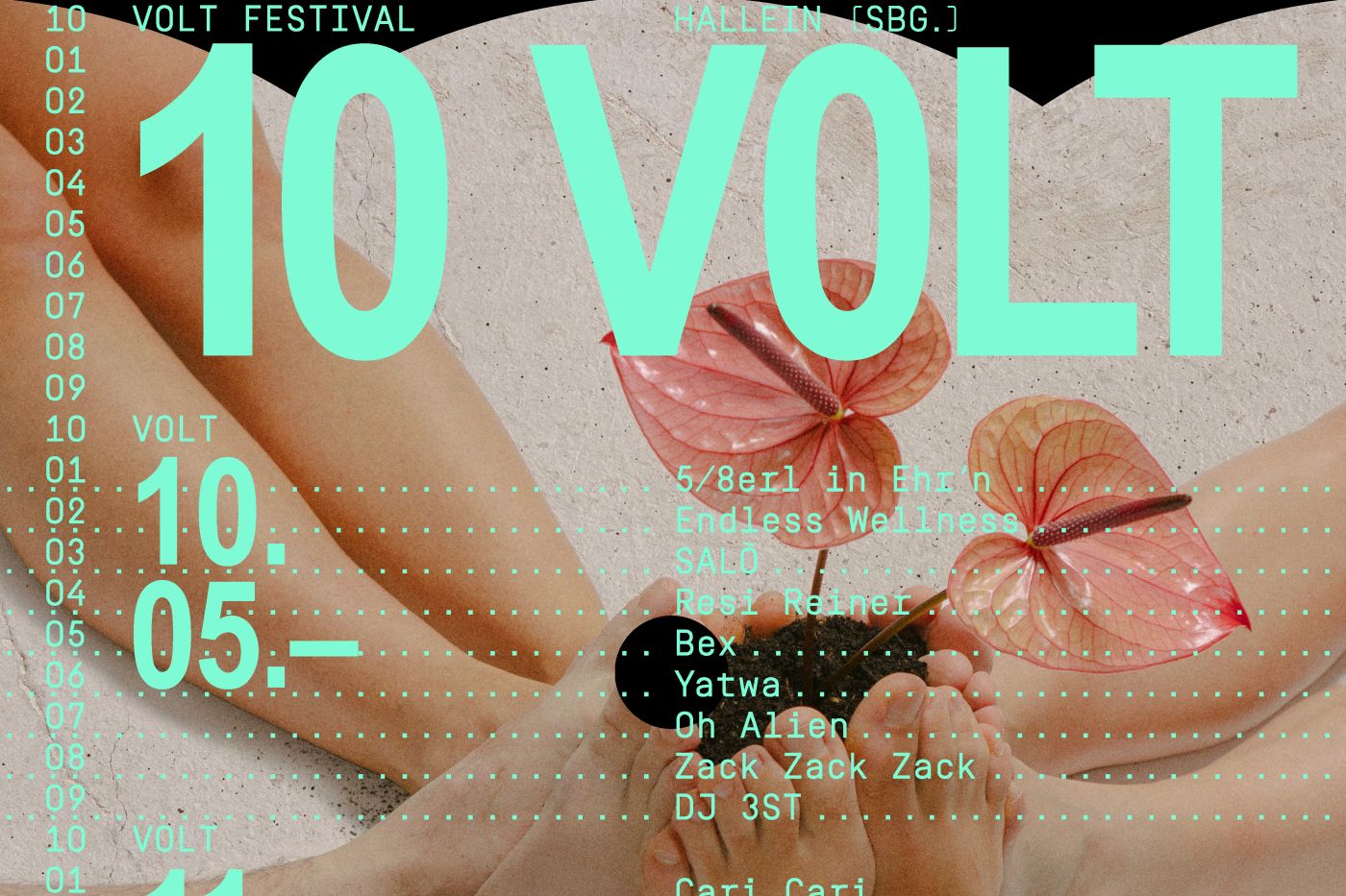 Sujet 10 Volt Festival