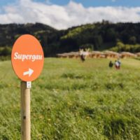 Supergau