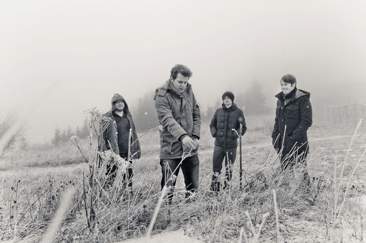 Bild The More Or Less