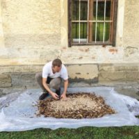 Bild Tue Greenfort