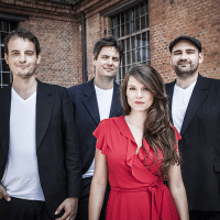 Tuesday Microgrooves (c) Tina Reiter