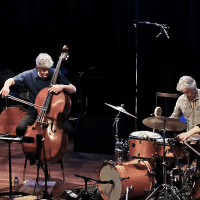 Bild Ulrichberger Kaleidophon