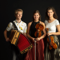 Bild des Trios Waldauf3