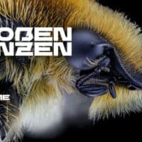 Wien Modern 2026