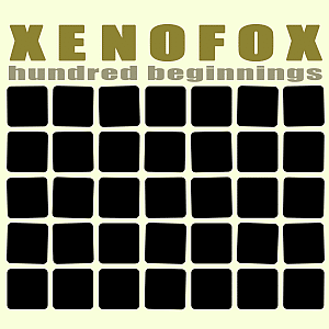 Cover hunderred things