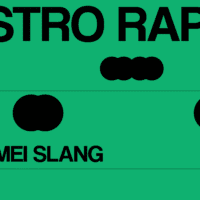 Austro Rap: Mei Slang