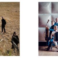 Bild between feathers und Trio Tempestoso