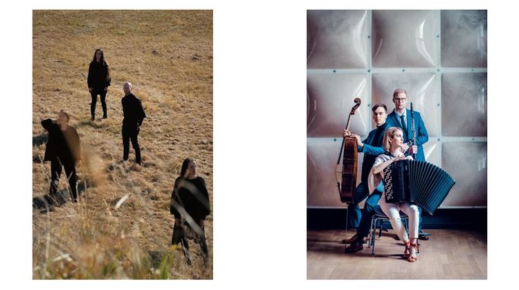 Bild between feathers und Trio Tempestoso