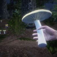 Screenshot "Erwartung"