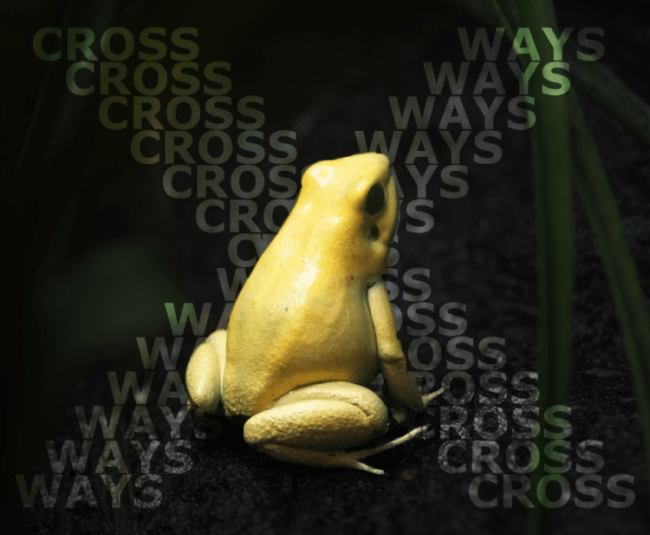 Crossways Natur
