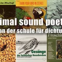Plakat mit tieren musizieren