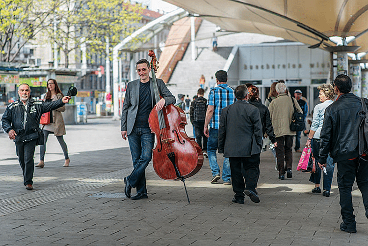Nenad Vasilic © Svetlana Nenadovic