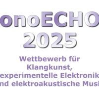 phonoECHOES 2025 Sujet