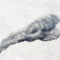 [Ramona Schnekenburger: Pottwal (Öl und Bleistift auf Leinwand, 2021; Ausschnitt)]