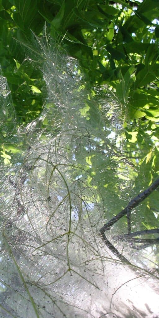 Festival Flyer: shut up and listen! 2023