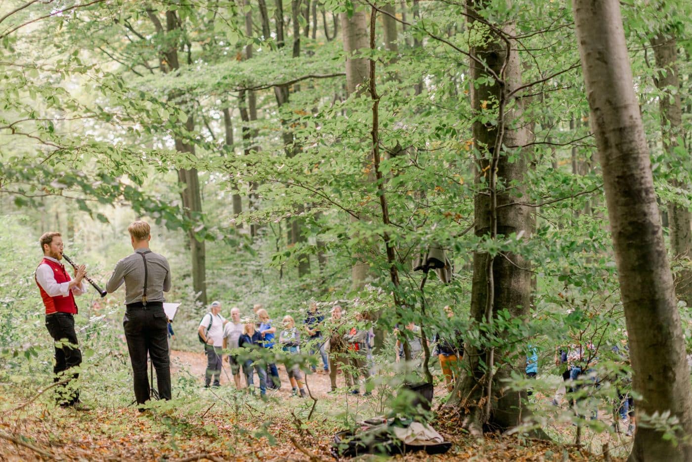 Bild wienerwald festival Wanderung
